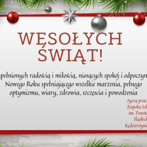 Wesołych Świąt !