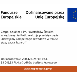 Rozwijamy kompetencje zawodowe w trakcie staży zagranicznych